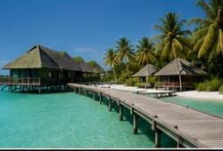 Experiences and travel
